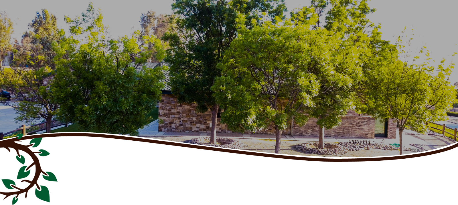 The Tree Care Blog Pope Tree Service