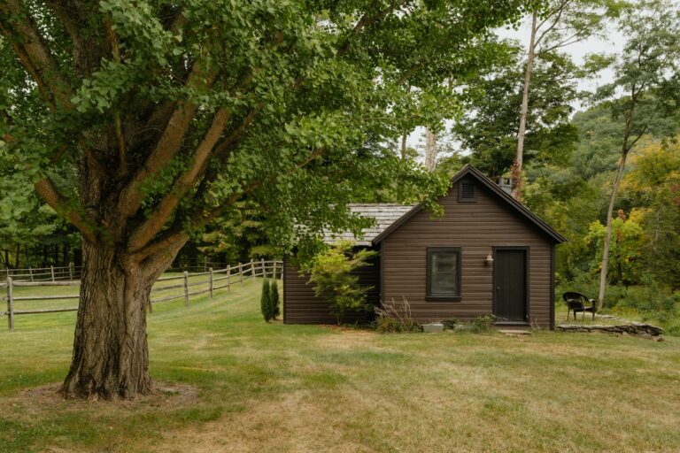 How To Tell What Type of Tree I Have