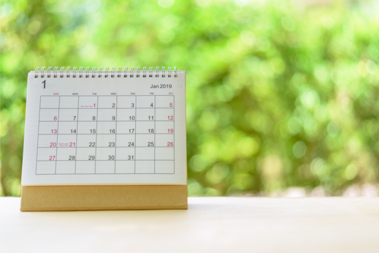 When is the Best Time of Year to Plant Trees?