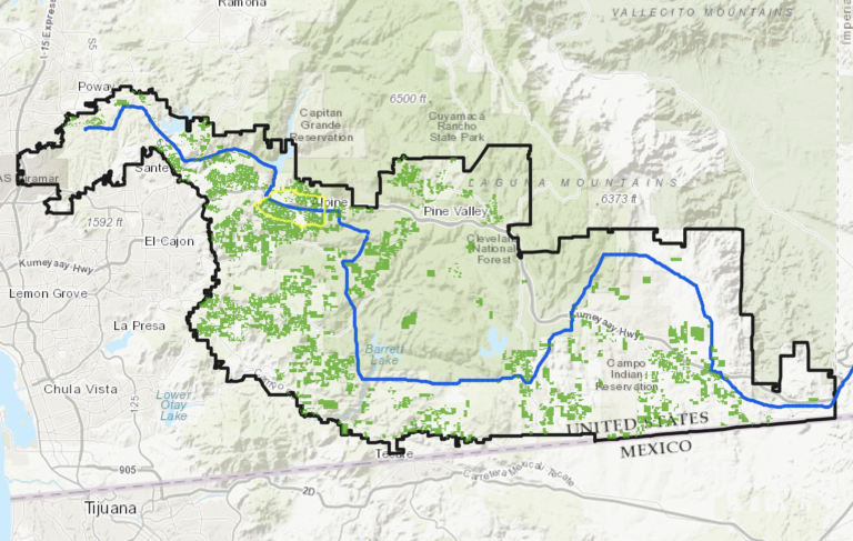 Tree Service for Sunrise Powerlink Grants Program 2022